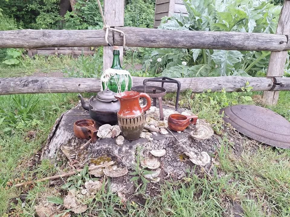 Verzameling